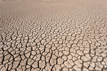 Cracked dry land without water