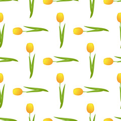 tulip seamless isolated