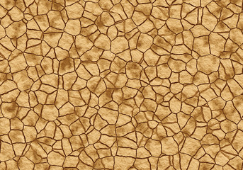 dry cracked wilderness ground texture
