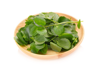 Fresh Watercress isolated on white background