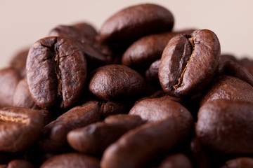 coffee beans macro.
