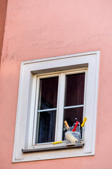Malerutensilien vor einem Fenster