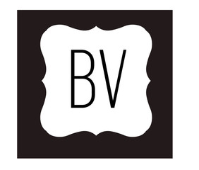 BV template Logo design for your company.