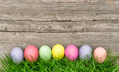 Easter eggs in green grass