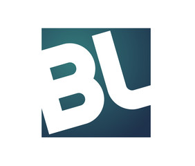 BL template Logo design for your company.