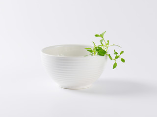 fresh oregano in white bowl