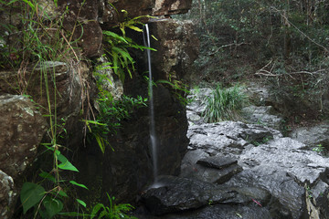 Fototapeta premium J C Slaughter Falls is a cascade waterfall located near Mt Coot-tha in Brisbane, Queensland, Australia