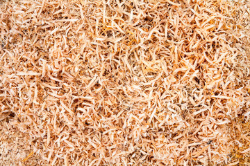 Wood sawdust