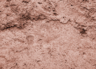 Stone surface 