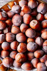 Fruits of hazelnut