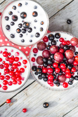 Cocktail red fruits black currant table garden