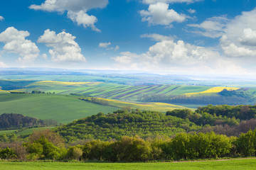 Fototapeta premium Сountryside Fields and Blue Sky Landscape