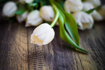 Art abstract background spring tulips wooden design