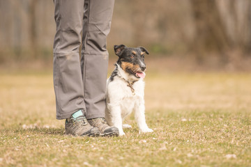 Hundesport - Grundstellung