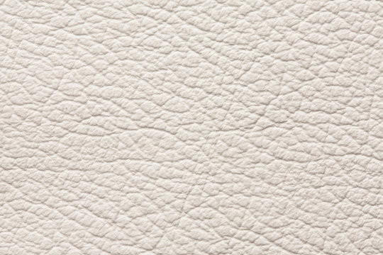 Light gray leather texture