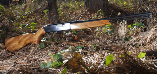 Shiny rifle