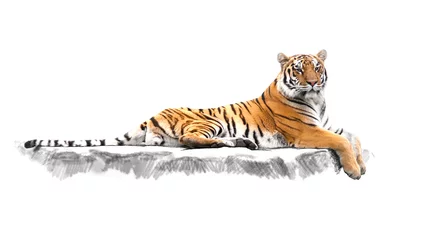 Photo sur Aluminium Tigre tigre rayé, qui se trouve sur les rochers