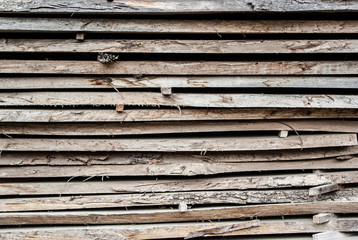 Wood background