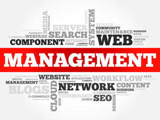 MANAGEMENT word cloud, business concept