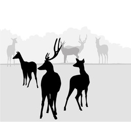 Deer Animal Set - Vector