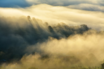 Fototapeta premium Autumn Landscape