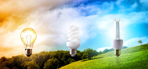 Comparison between various types of light bulb on landscape back