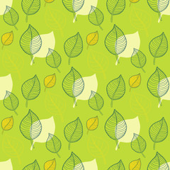 Leaf pattern.Seamless Leaf pattern.Abstract green leaf,leaf fall,defoliation,autumn leaves ,falling leaves.Spring leaf pattern.Leaf vector 