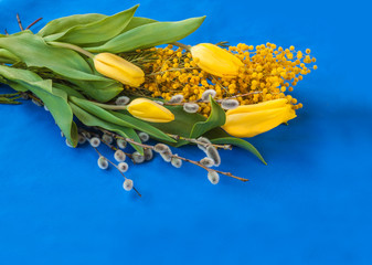 Mimosa, willow twigs and tulips on blue background