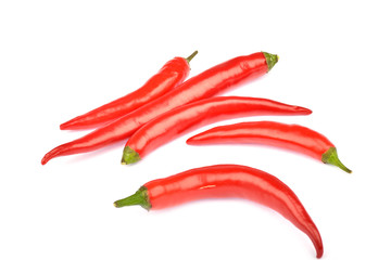 Red chili peppers on white background