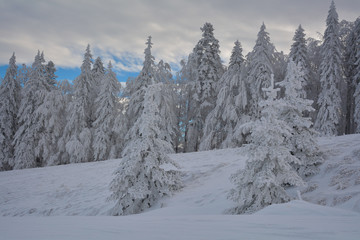 winter landscape in Romania