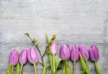 Papier Peint photo Crocus Old grey wooden background with purple white tulips,snowdrop and crocus border in a row and empty copy space, spring summer decoration  
