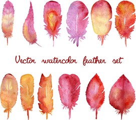 Set of vector watercolor hand drawn feathers