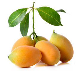 maprang  on the white ground