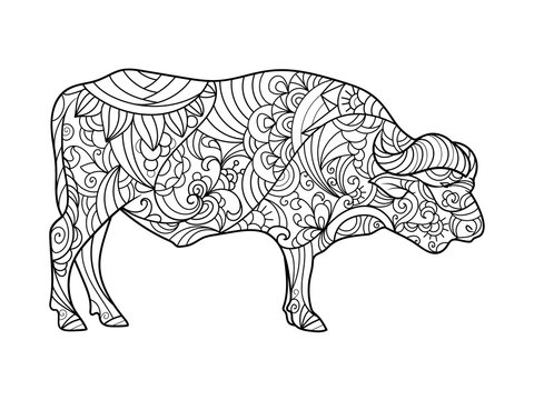 Buffalo animal coloring book for adults vector