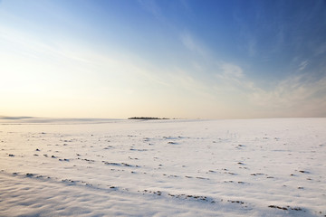 snow covered field  