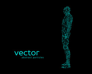 Vector illustration of human body