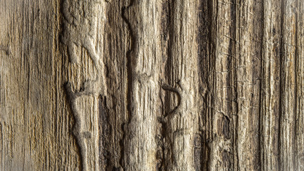 Relief wooden background horizontal