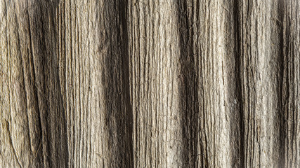 Relief wooden background close-up