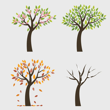 Tree 4 seasons (Spring, fall, winter and autumn)