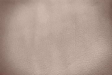 Sepia leather