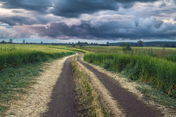 Fototapeta premium rural road