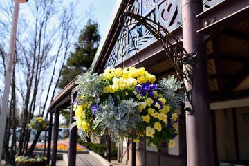 吊り下げプランター