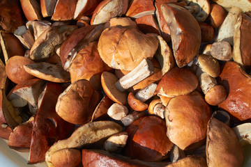 mushrooms