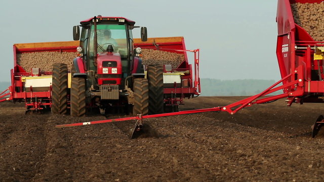 Potato tubers planting by using modern agricultural machinery