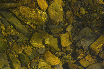 Rocky bottom forest brook in the shade of trees