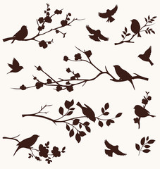 Obraz na płótnie Canvas Spring set birds and twigs.