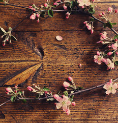 apple flowers on wooden background