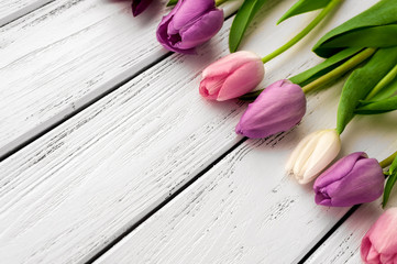 Fototapeta premium Multicolored tulips background