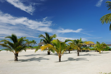 Obraz na płótnie Canvas Beautiful beach at Maldives