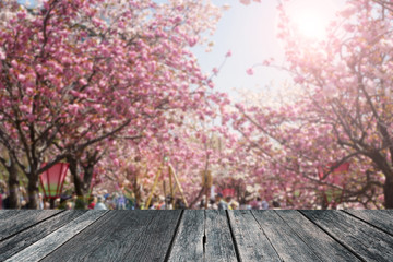 Abstact blur spring background of cherry blossom festival in Osaka Japan with empty wood space